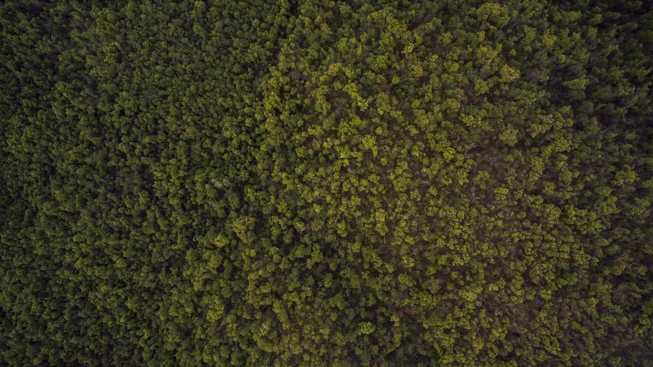 运动服务与接待支持场景